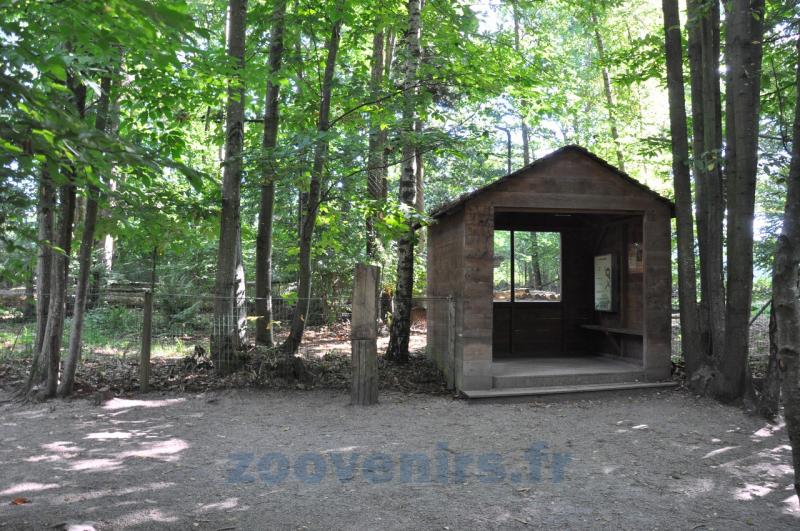 Panthère du Sri-Lanka