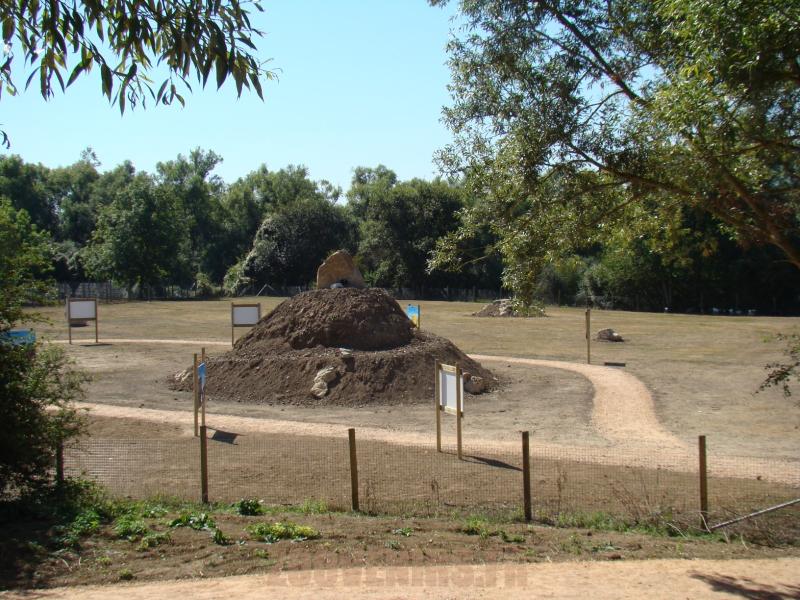 Mini-ferme
