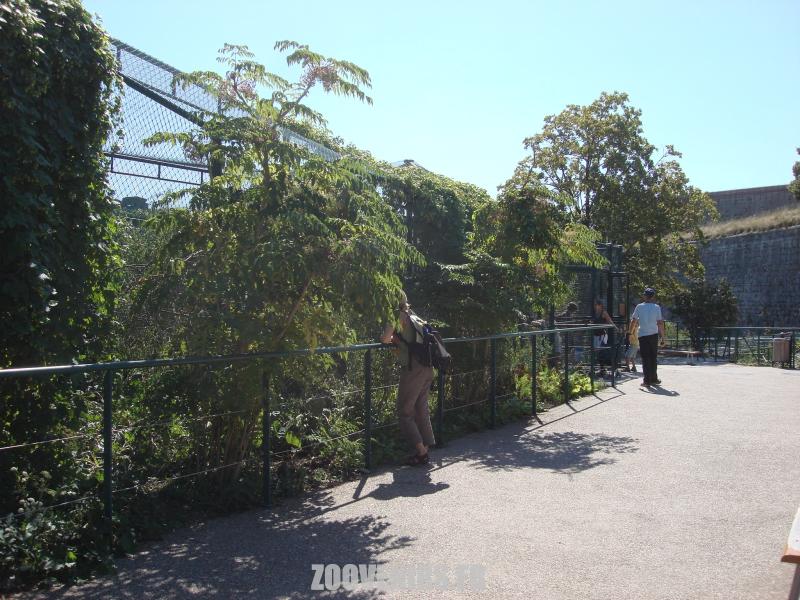 Volière des oiseaux d'eau