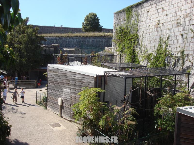 Vue générale des volières des oiseaux