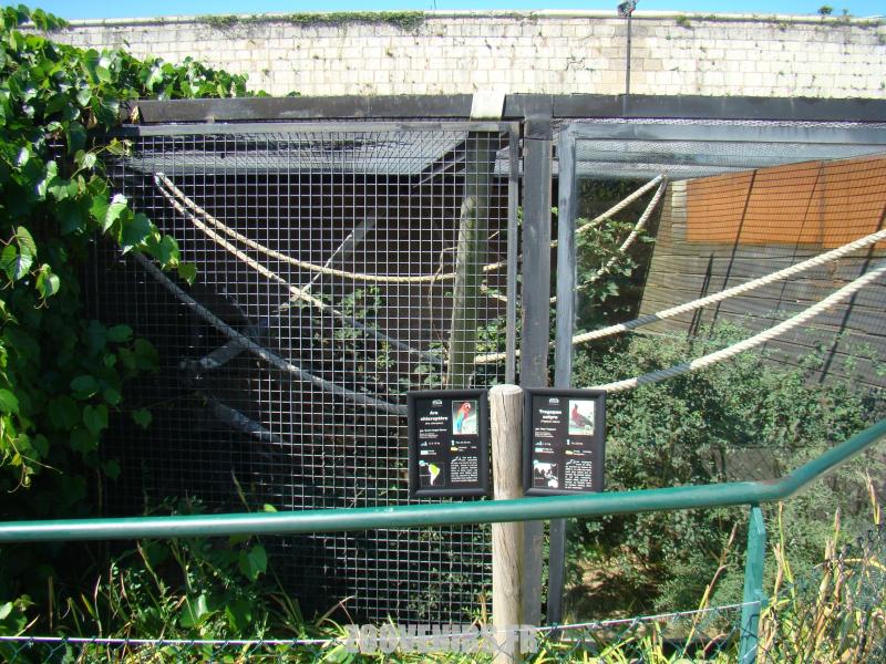 Volière des oiseaux