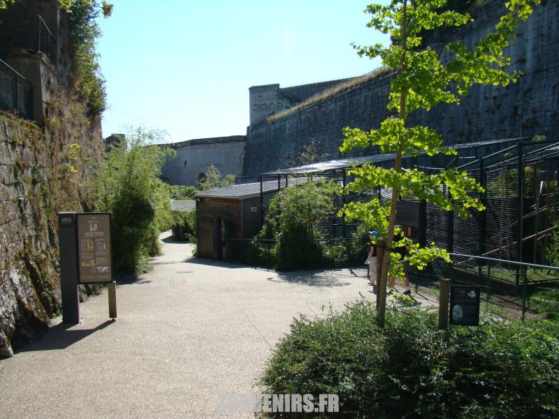 Secteur des lémuriens