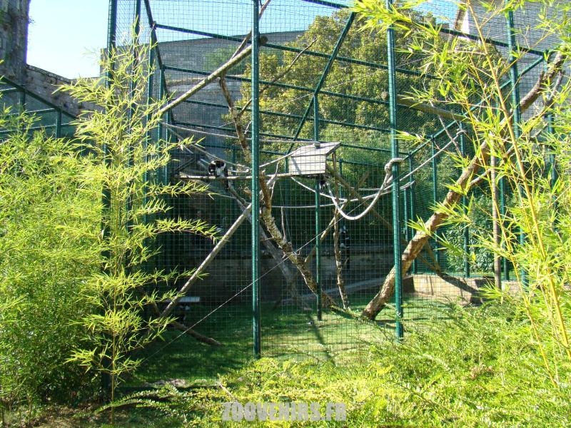 Maki vari noir et blanc