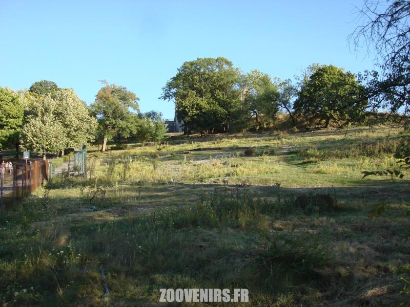 Plaine sud-américaine