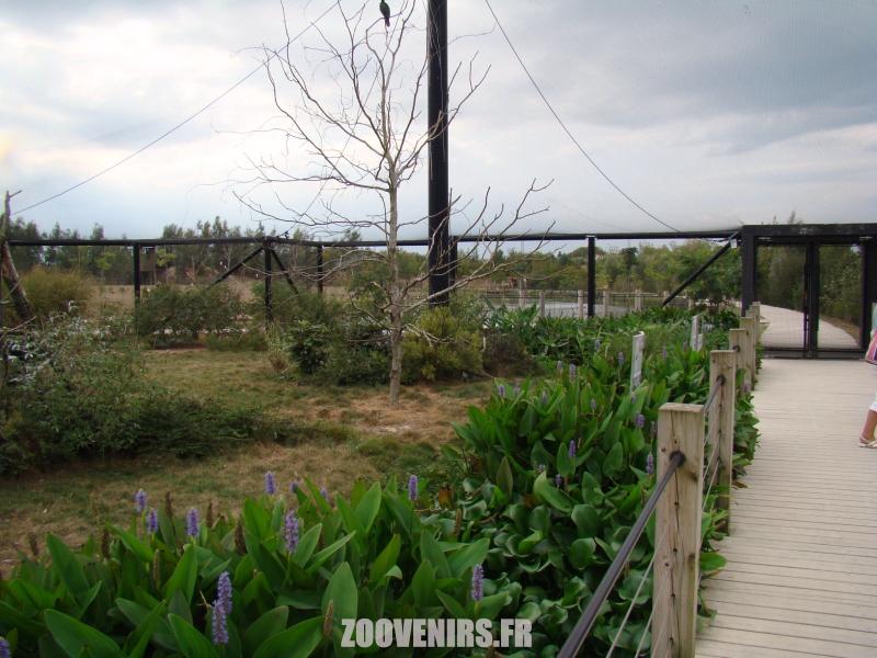 Volière australienne