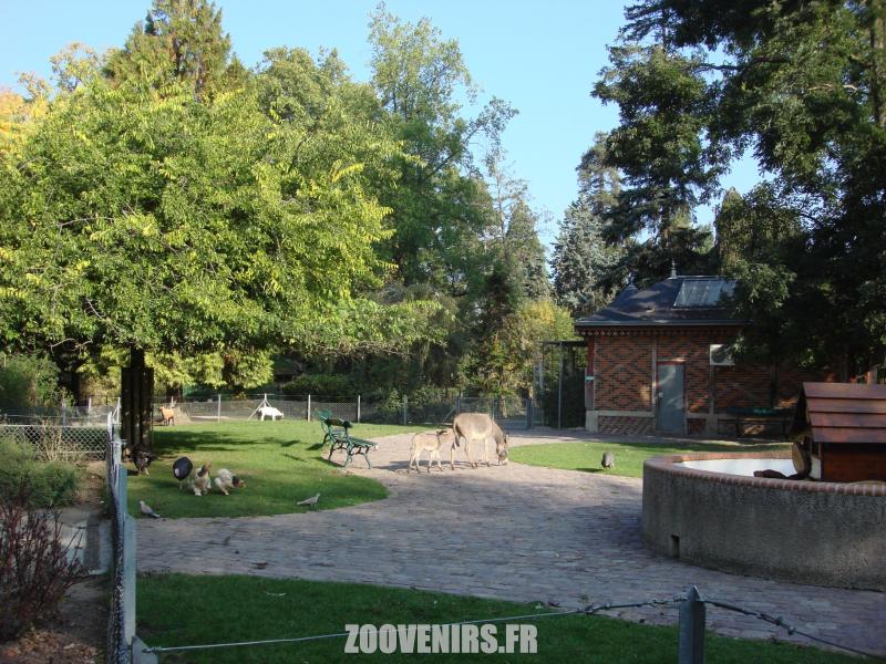 Mini-ferme
