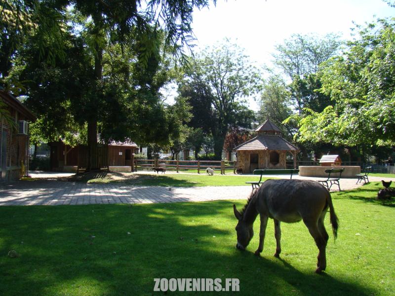 Mini-ferme