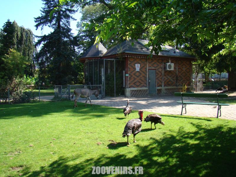 Mini-ferme