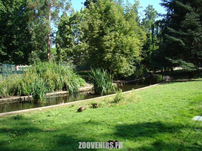 Petit ruisseau