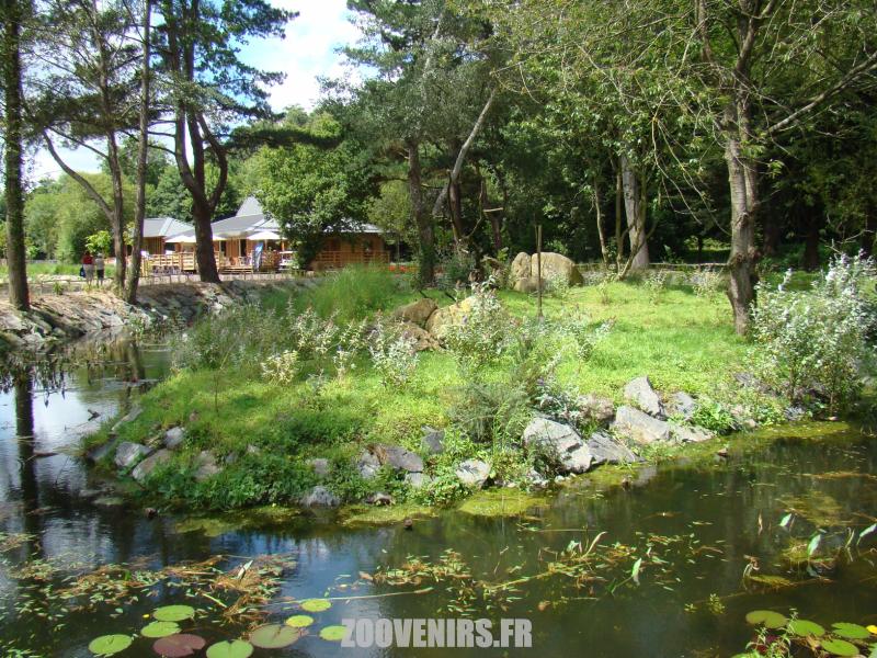 Lémuriens