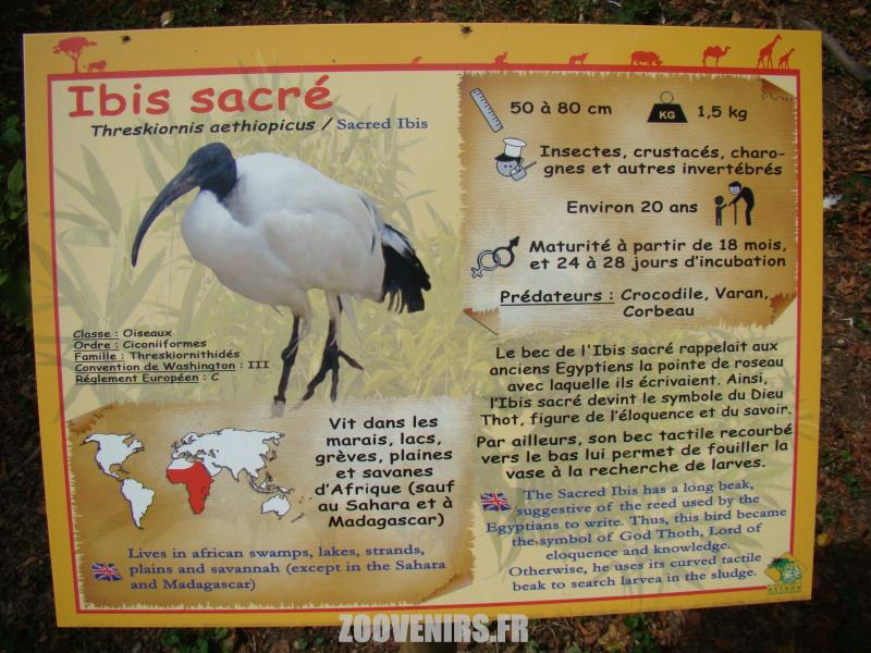 Panneau d'information