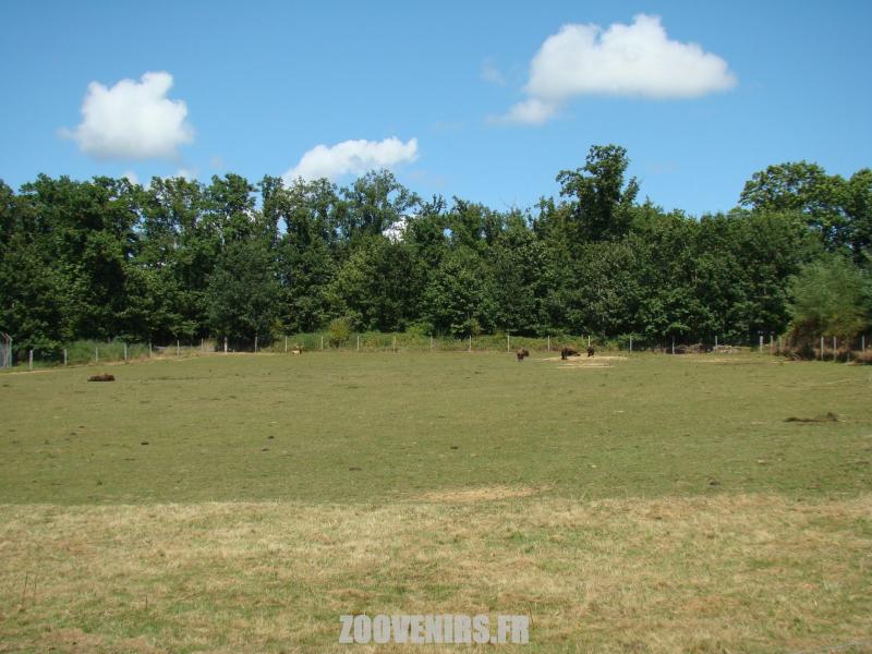 Plaine américaine