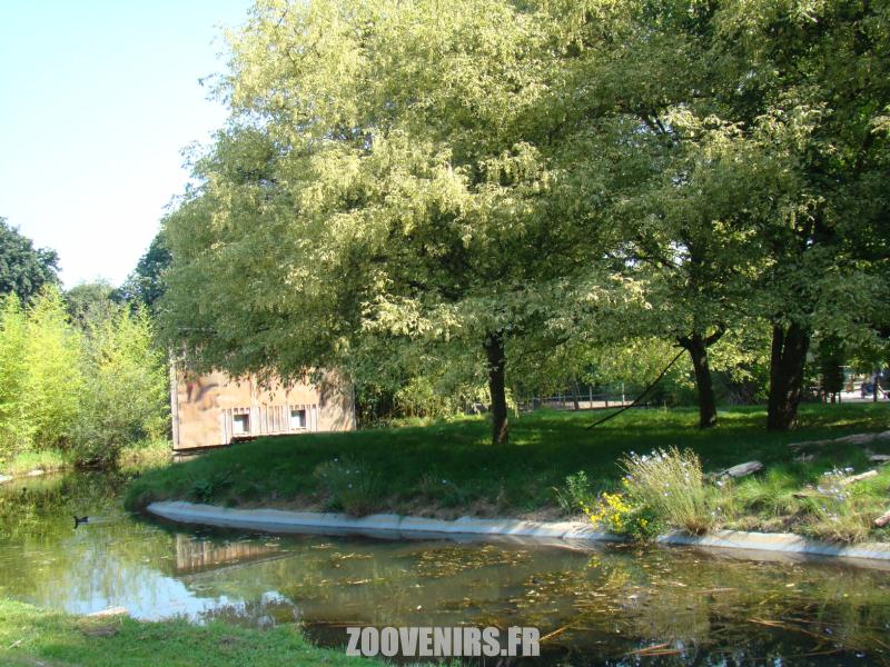 Saïmiri