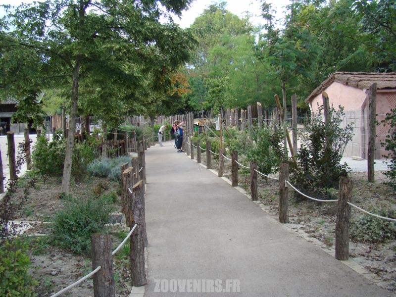Zoo des enfants