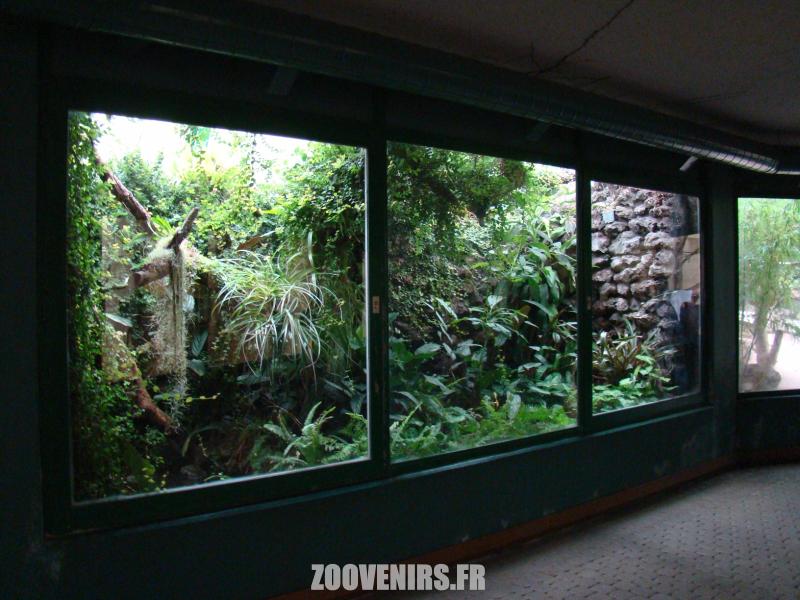 Terrarium