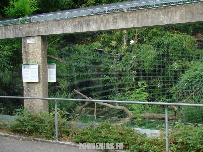 Volière malgache