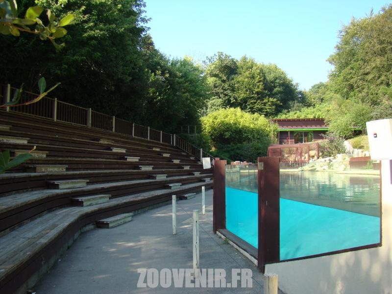 Spectacle oiseaux marins