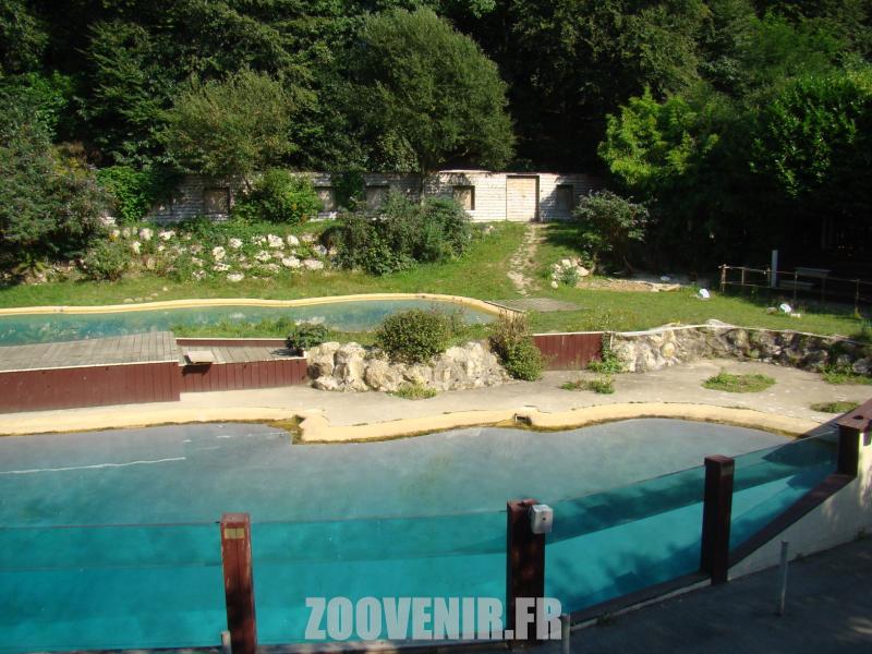 Spectacle oiseaux marins