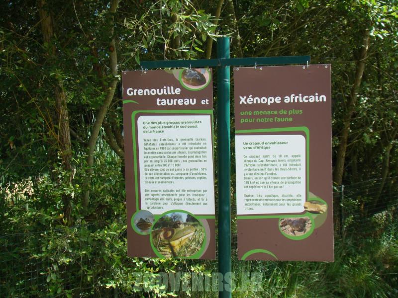 Panneaux pédagogiques