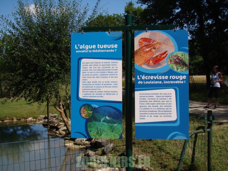 Panneaux d'information