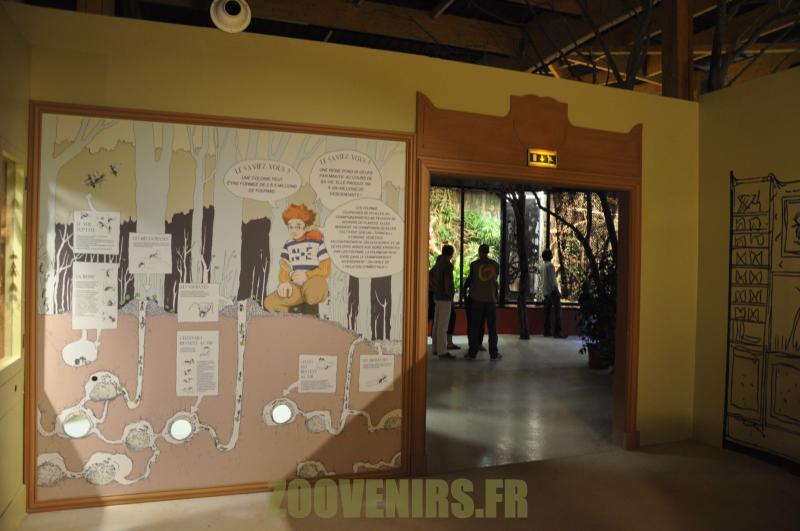 Informations sur la Fourmillère