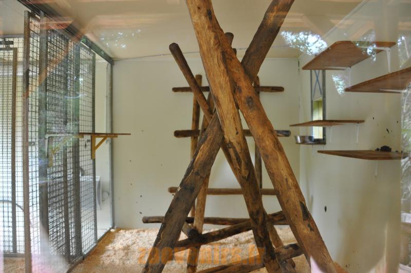 Loge des lémuriens