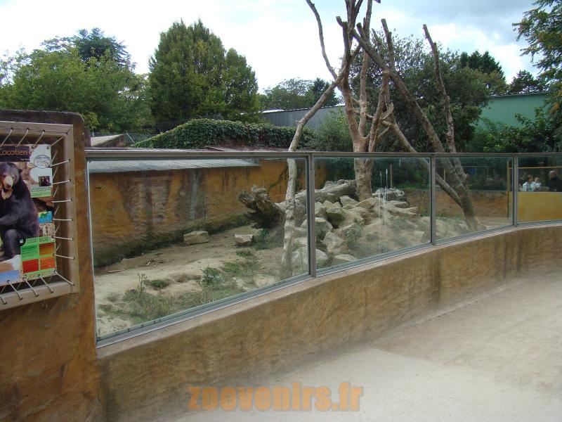 Ours malais