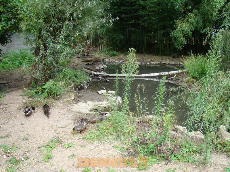 Parc des Anatidés