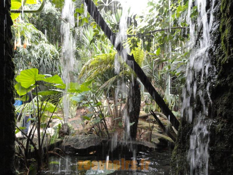Serre tropicale