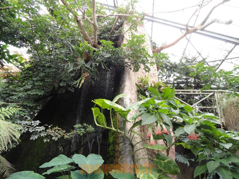 Serre tropicale