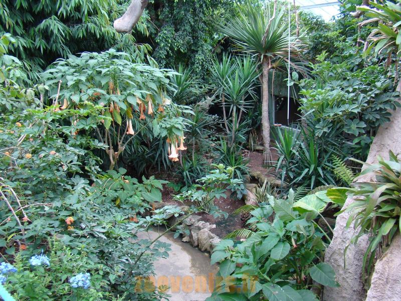 Serre tropicale