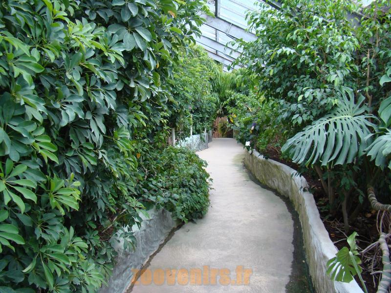Serre tropicale