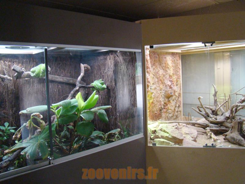 Vivarium