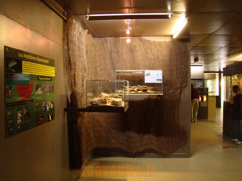 Vivarium