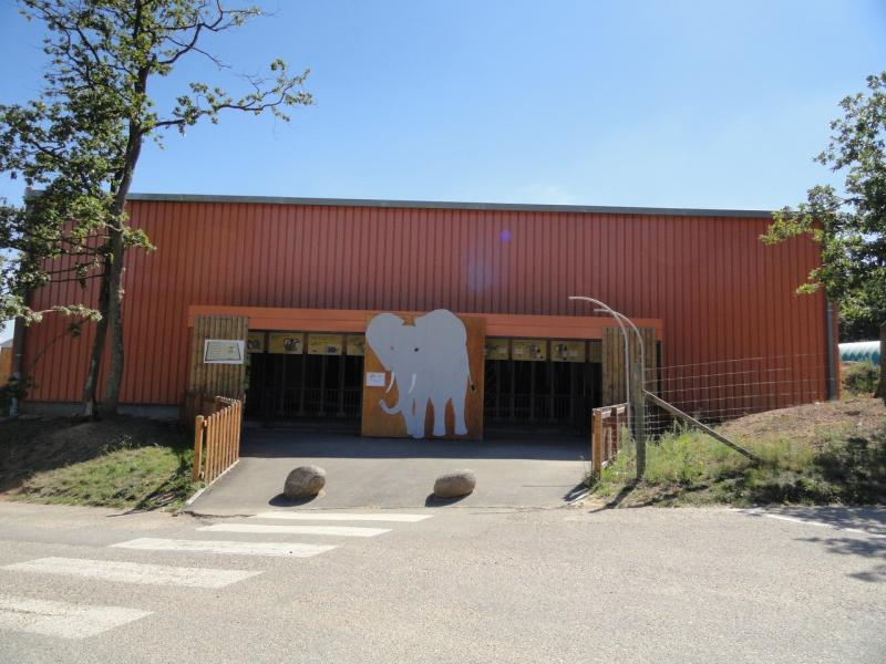 Eléphant d'Afrique