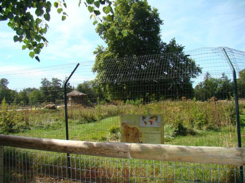 Guépard