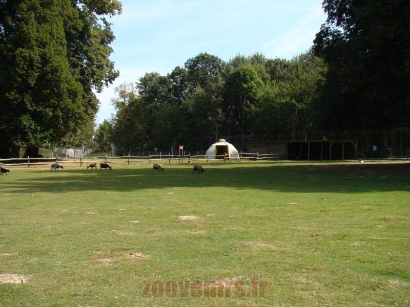 Mini-ferme