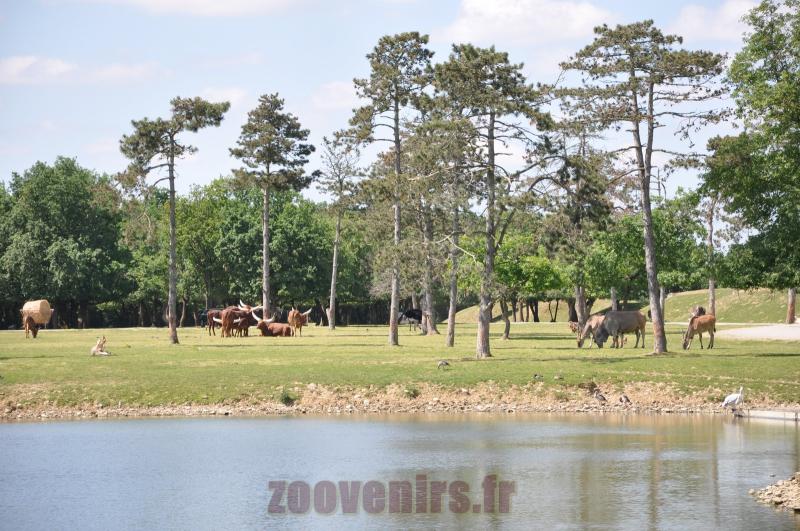 Tour du lac