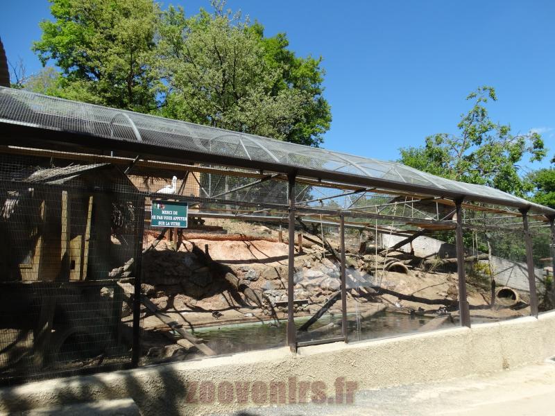 Pélican 