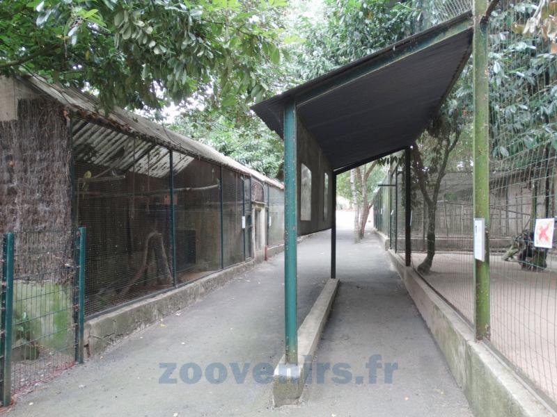 Voliéres des perroquets