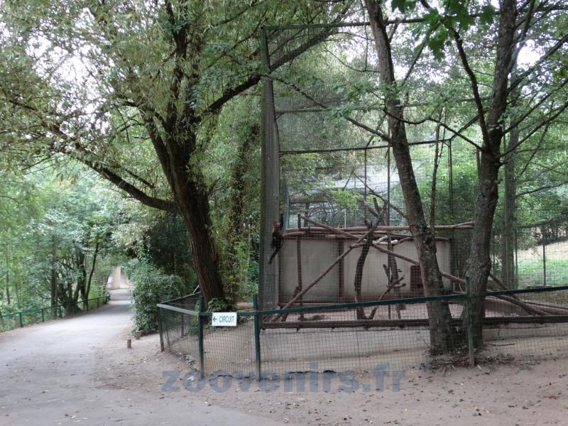 Volière de singes