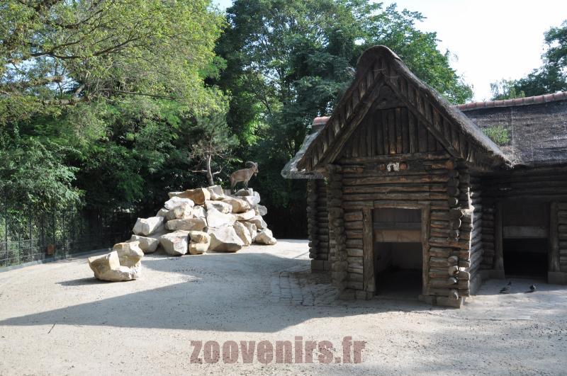 Tur du Caucase occidental