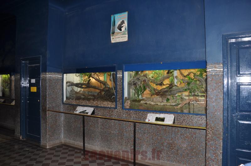 Série de vivariums