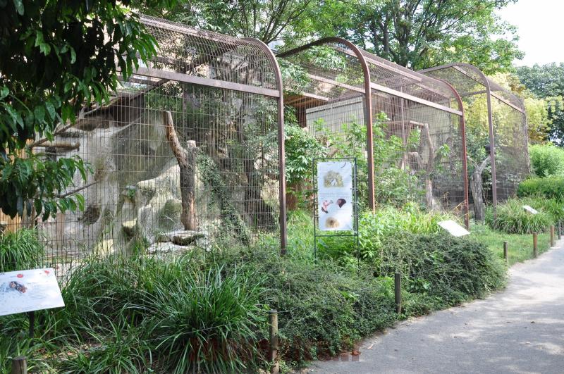 Volières des rapaces diurnes