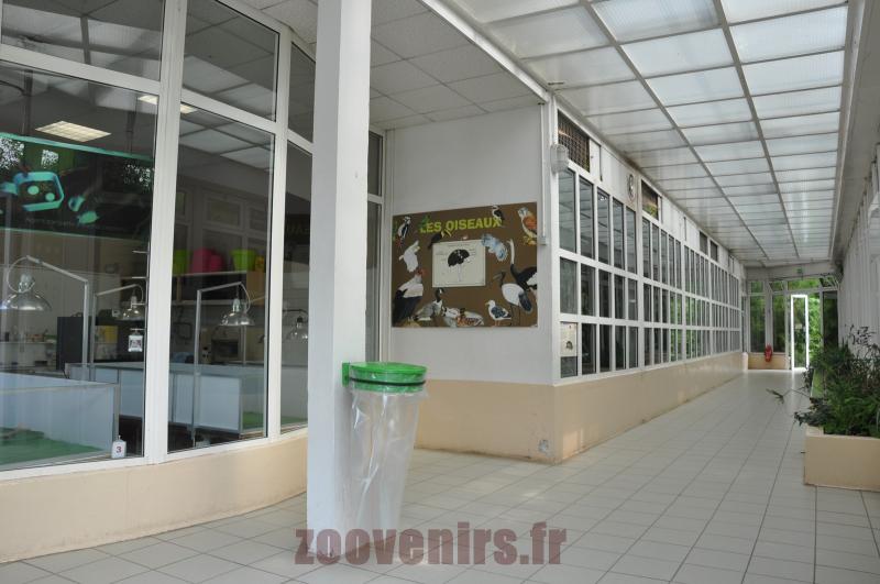 Galerie d'élevage
