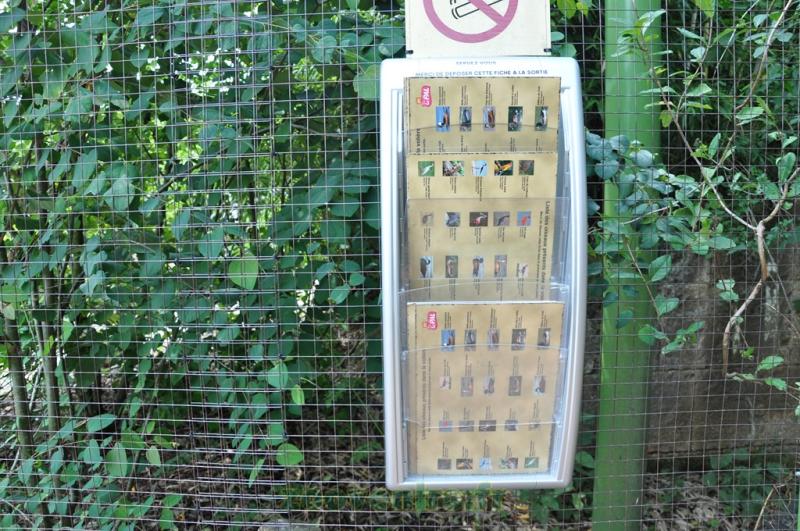 Fiche d'identification des espèces