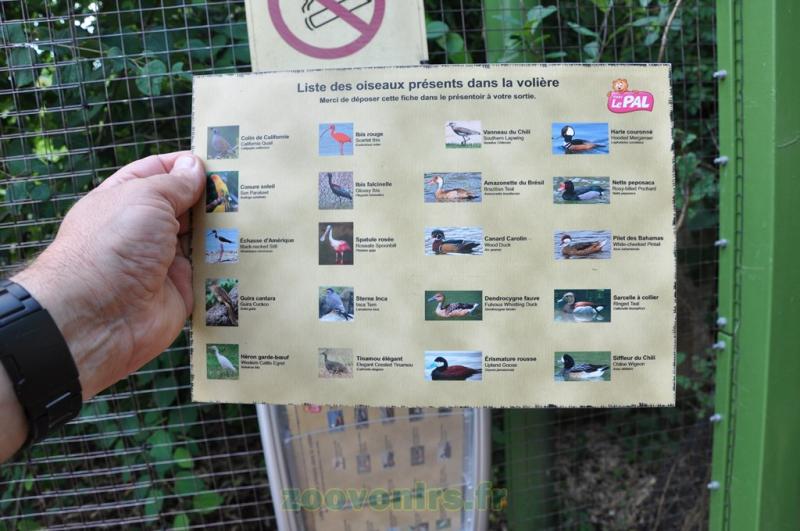 Fiche d'identification des espèces