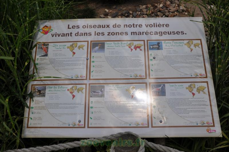 Panneaux "Espèce"