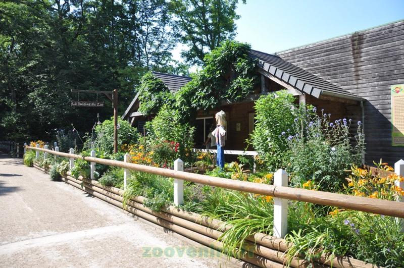 La cuisine du zoo