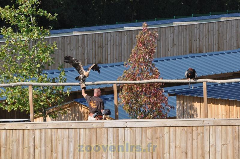 Aigles